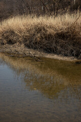 The rivers and streams in the city showcase a beautiful harmony where artificial and natural elements coexist.