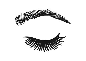 Eye Sketch. Female Eyelashes Brow Illustration.