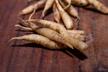 Shatavari or Asparagus racemosus roots on wooden background , herbal or ayurvedic medicine