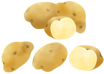 水彩で描いたジャガイモのイラストセット／Watercolor illustration material set of potatoes