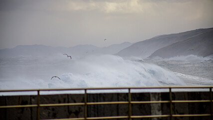 ancient cannon defends the coast