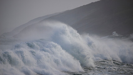 wave breaks on the coast