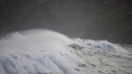 wave breaks on the coast