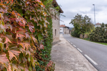 Autumn in the town. Defocused background