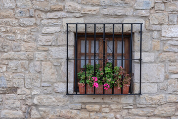 Fototapeta na wymiar Trellised geraniums. rural facade