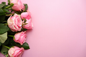 Beautiful pink roses on pink background. Love, Rose day , Mother's day and Valentine day floral background. 