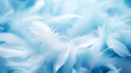 Beautiful light blue feathers texture background.