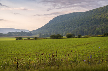 The Rolling Hills of the Finger Lakes in Upstate New York