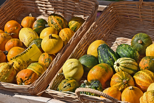Zucche colorate in un mercato autunnale