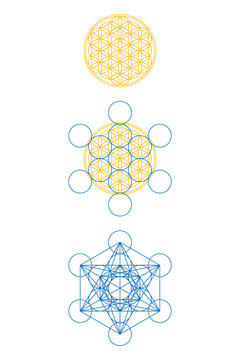 Flower of Life and Metatrons Cube. If you add 6 more circles to the 7 circles in the Flower of Life, you get the Fruit of Life, and you can develop Metatrons cube from it. Sacred Geometry. Vector.