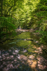 Fototapeta na wymiar The Stream at Fillmore Glen State Park