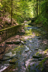 Fillmore Glen State Park