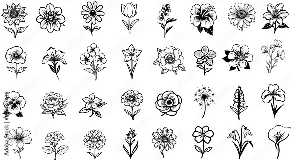 Wall mural Vector set of flowers