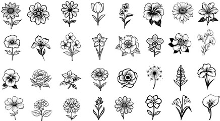 Vector set of flowers - obrazy, fototapety, plakaty
