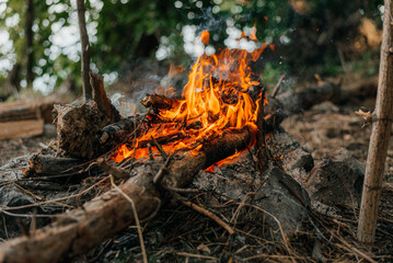 fire in nature . bokeh from the fire . blurred backgrounds . Space views.