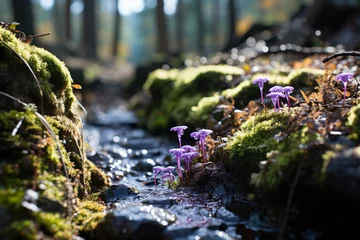 Rolgordijnen A stream in a forest with stones, moss and lilac flowers in sunny weather. Generated by artificial intelligence © Vovmar