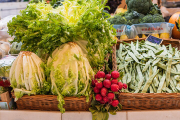 Nubia Correa Mart&iacute;nez