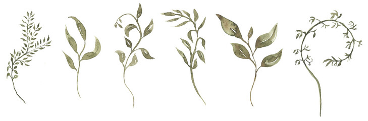 Watercolor leaves branch illustration set, greenery clipart, foliage - obrazy, fototapety, plakaty