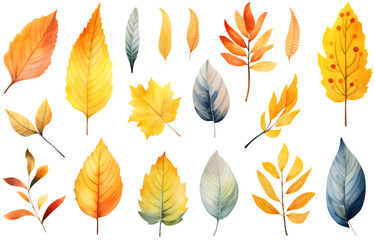 collection of autumn leaves isolated on white background
