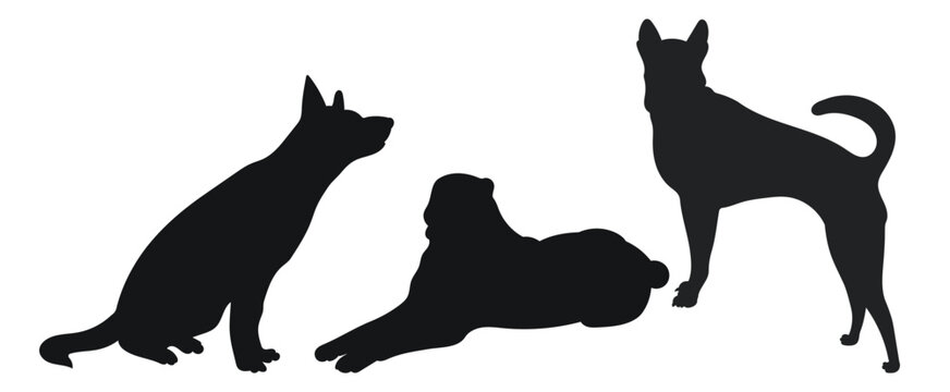 Sketch image of black silhouette dogs, outline of pets. Go, standing, sitting, lying, lie, running, jumping, training, walking, guarding, posing, play, showing