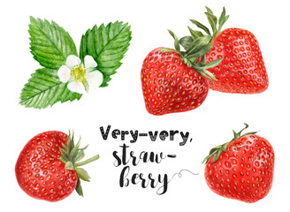 Watercolor illustration of strawberries set close up. A hand-drawn painting.