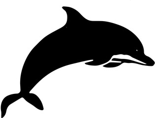 Vector illustration of a black and white dolphin | Silhouette of a dolphin
