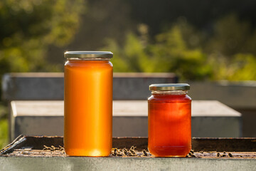 Two jars of ecological and healthy honey on a hive