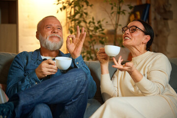 Mature couple, wife and husband sitting on coach and talking stories over cup of coffee, tea. Warm...
