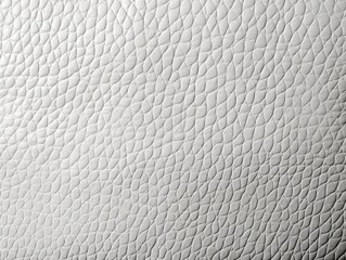 Leather texture background. White color.