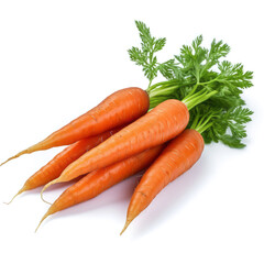 Fresh carrots. A bunch of vegetables isolated on white. With haulm