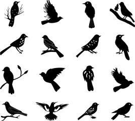 set of birds silhouette, on white background vector