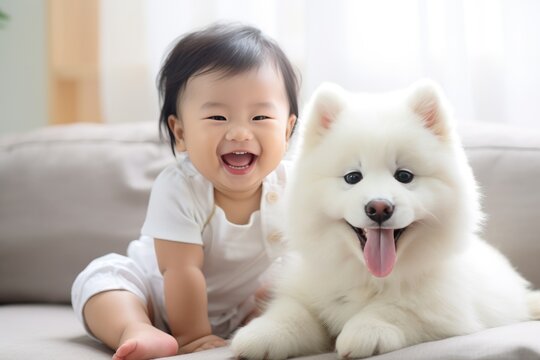Young asian child playing with samojed dog