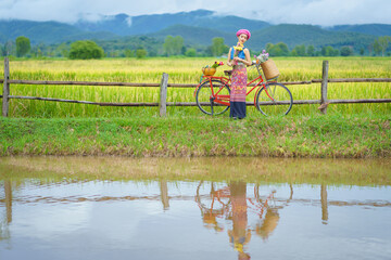 Obraz na płótnie Canvas Pretty Asian Tai Lue woman in beautiful traditional costumes wearing local dress famous sarong fabrics textiles with a red bicycle and yellow rice fields morning and mountain background.