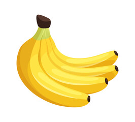 Vector banana isolated on white background