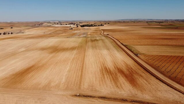 Aerial view of dry fields. Drone footage in Castilla la Mancha, land of don quijote, vineyards, flat land, cereals, dirt tracks and paths. Horcajo de Santiago in 4K with DJI Mini 2