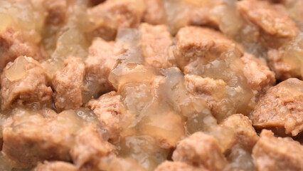 Wet cat or dog food close up