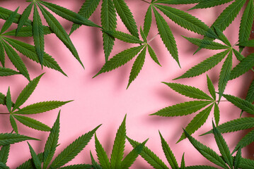 Marijuana leaves background