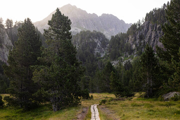 hiking in the mountain