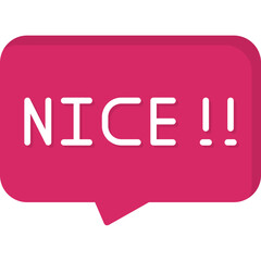 Nice Icon