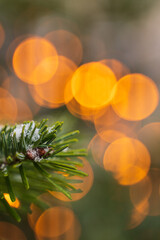 Christmas tree on a blurred background. Seasonal winter holiday concept. Christmas tree with garlands and glowing golden lights in the background