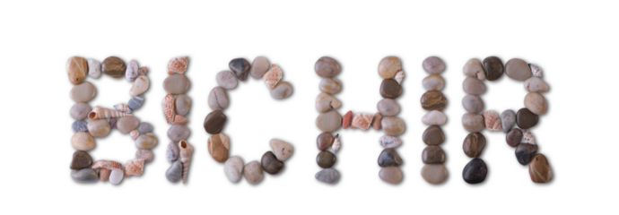 The word "BICHIR" is lined with shells and stones of different shapes and colors on a transparent background. Types of fish and seafood, price tag, sea food, fish market, sea alphabet