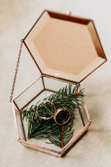 Gold wedding rings in a glass box on the branches of a coniferous tree. Wedding details