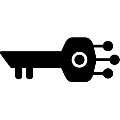 Digital Key Icon