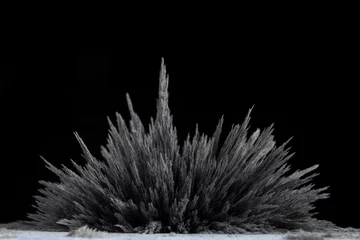 Foto op Canvas Reaction of iron dust to a magnetic field of a strong neodymium magnet on a black background © Wirestock