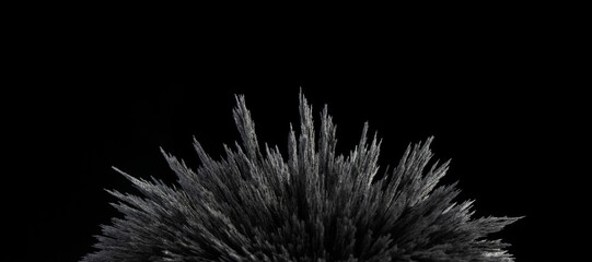 Reaction of iron dust to a magnetic field of a strong neodymium magnet on a black background