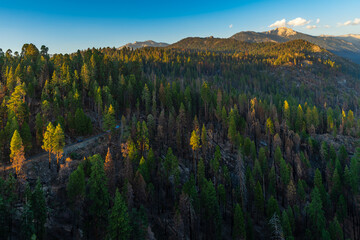 The Sierra Nevada forest mountains seen to the east of Moro Rock.