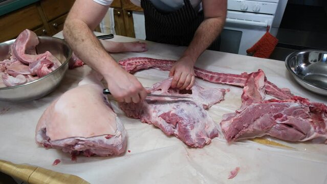 Slicing or processing meat into fine pieces after portioning freshly butchered hog. Front and back leg or ham and shoulder lay on table waiting to be processed too.