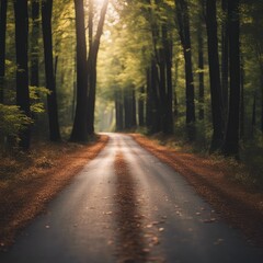 Obraz premium The country roads are wooded and luxuriant with the Dindahl effect