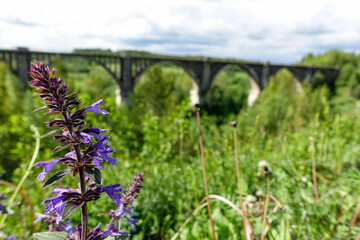 Railway bridge across the river in the south of the Kama region. The old Big Sars viaduct. The...