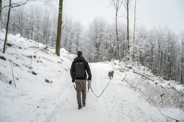 Male dressed in black is walking his pet dog in a winter landscape covered in a blanket of snow